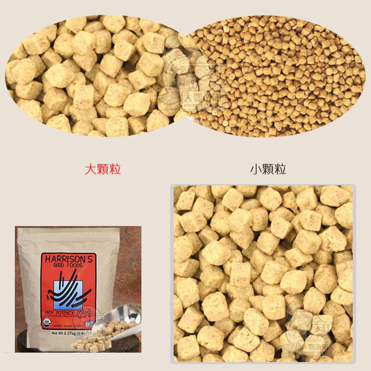 實體門市｜哈里森高能 (大顆粒)｜原裝一磅｜原裝五磅｜美國哈里森高能有機滋養丸｜哈里森滋養丸｜翔帥寵物生活館-細節圖3