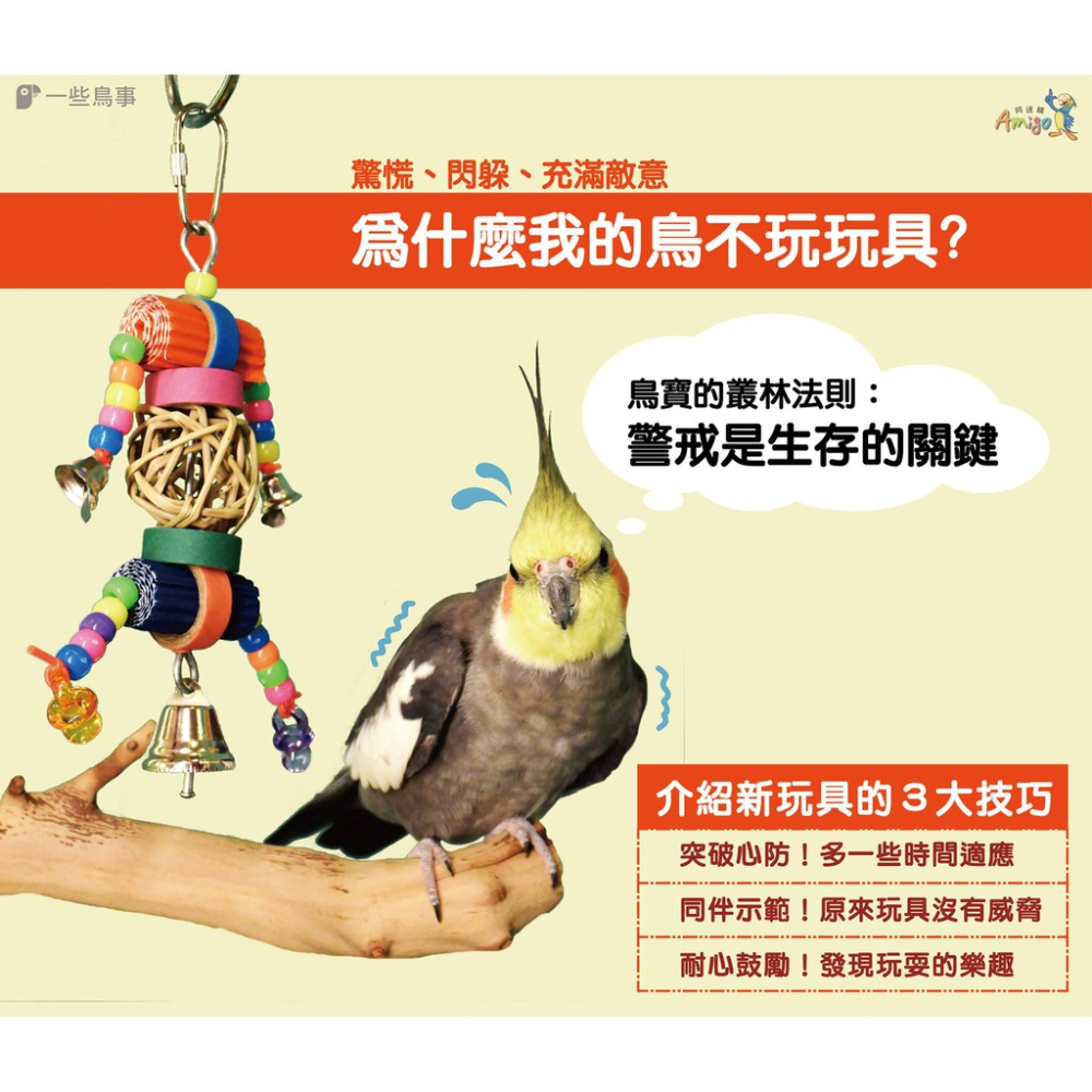 實體門市｜可口葡萄｜鸚鵡玩具｜中小型｜小型｜阿迷購｜和尚｜虎皮｜愛情鳥｜玄鳳｜小太陽｜翔帥寵物生活館-細節圖2