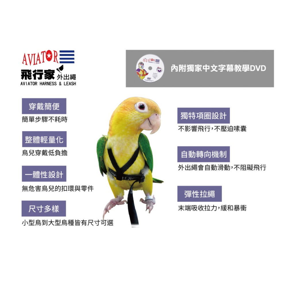 實體門市｜Aviator外出繩｜美國品牌｜穿戴簡便｜輕巧無負擔｜彈性拉繩｜鸚鵡｜阿迷購｜翔帥寵物生活館-細節圖6