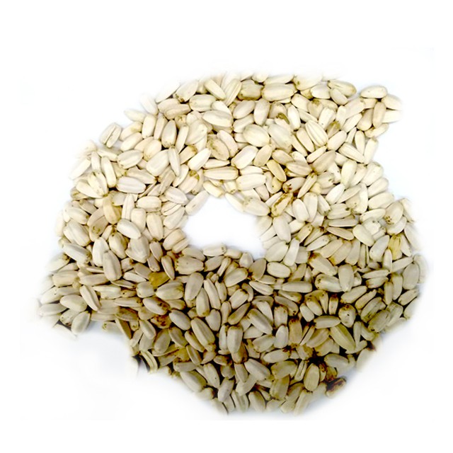 實體門市｜翔帥寵物生活館｜鸚鵡天然零嘴-白瓜籽｜向日葵籽｜葵花籽｜鸚鵡飼料｜鳥飼料｜鸚鵡｜白色向日葵籽｜AAA-細節圖3