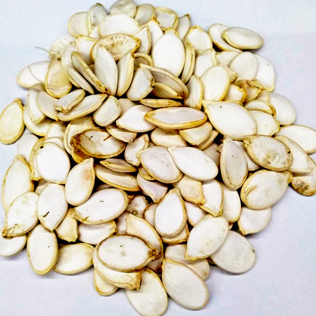 實體門市｜翔帥寵物生活館｜鸚鵡天然零嘴－南瓜子｜鸚鵡飼料｜南瓜子｜精選飼料｜鳥零嘴｜鳥零食｜鸚鵡零食｜AAA-細節圖2