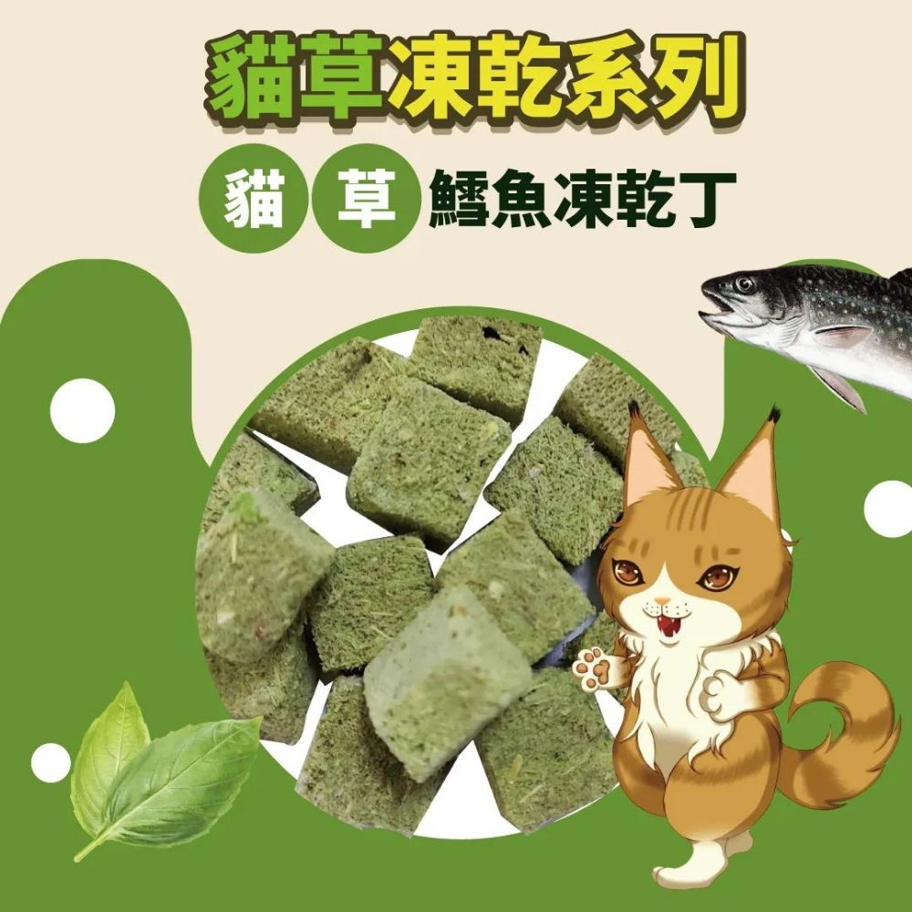 快速出貨｜Cat Glory 驕傲貓｜貓草凍乾丁｜天菜系｜貓零食｜凍乾零食｜貓草零食｜貓草｜貓凍乾｜翔帥寵物生活館-細節圖6