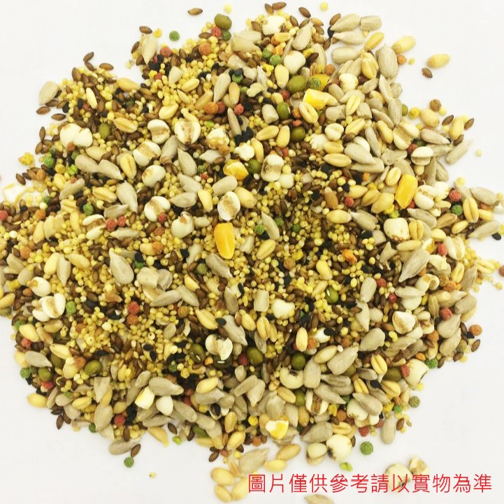 中小型鸚鵡飼料 | 中小型鸚鵡學吃專用飼料 | 鸚鵡飼料 | 翔帥嚴選鳥學吃飼料 | 翔帥寵物生活館| 學吃 | 斷奶|-細節圖3