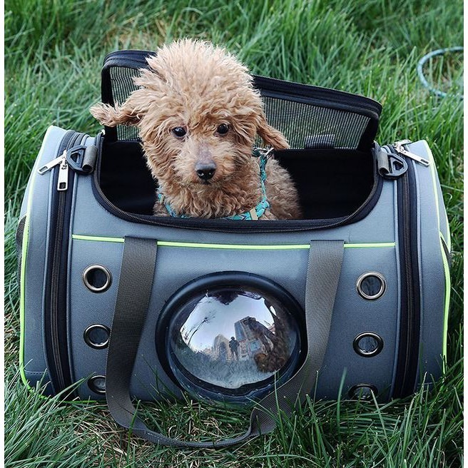 【台灣現貨】 寵物外出包|可背可提寵物太空包| 寵物側背包|寵物外出提籠 |夏季寵物包| 寵物包猫咪狗透氣斜跨包-細節圖7