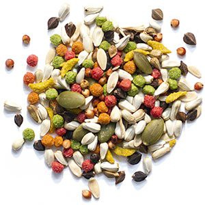 台灣現貨|路比爾綜合聰明大餐|中小型鸚鵡飼料(2磅)|中大型鸚鵡飼料(2磅)|大型鸚鵡飼料(2磅)|翔帥寵物生活館-細節圖2