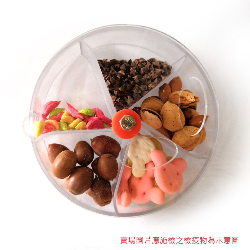 台灣現貨 | 鸚鵡覓食玩具 | 鸚鵡玩具 |鳥玩具 | 覓食輪盤玩具 | 鸚鵡用品 | 翔帥寵物生活館-細節圖3