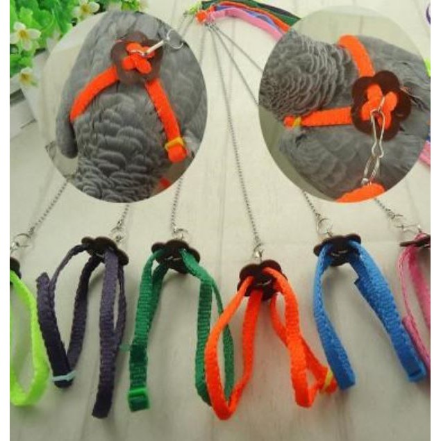 台灣現貨 | 鸚鵡牽引背帶飛行繩 | 外出繩 | 鸚鵡用品 | 鳥飛行繩 | 鸚鵡飛行繩 | 翔帥寵物生活館-細節圖2