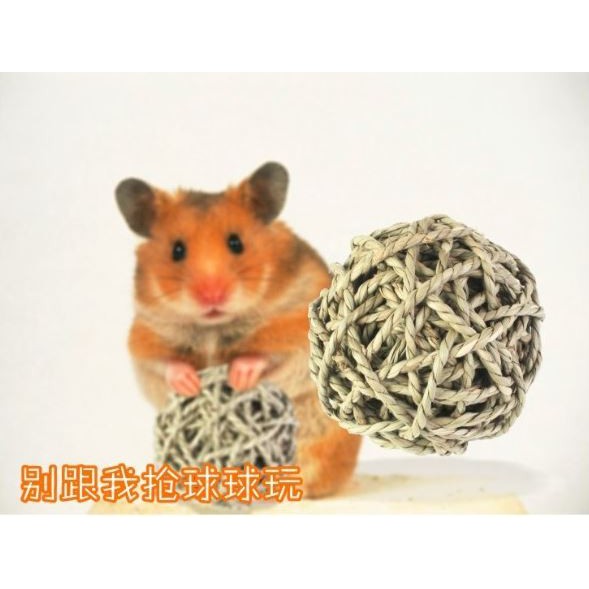 台灣現貨 | 鸚鵡啃咬草編球 | 藤編球 | 兔子玩稻草球 | 倉鼠藤編球 | 草編藤編稻草球 | 翔帥寵物生活館-細節圖3