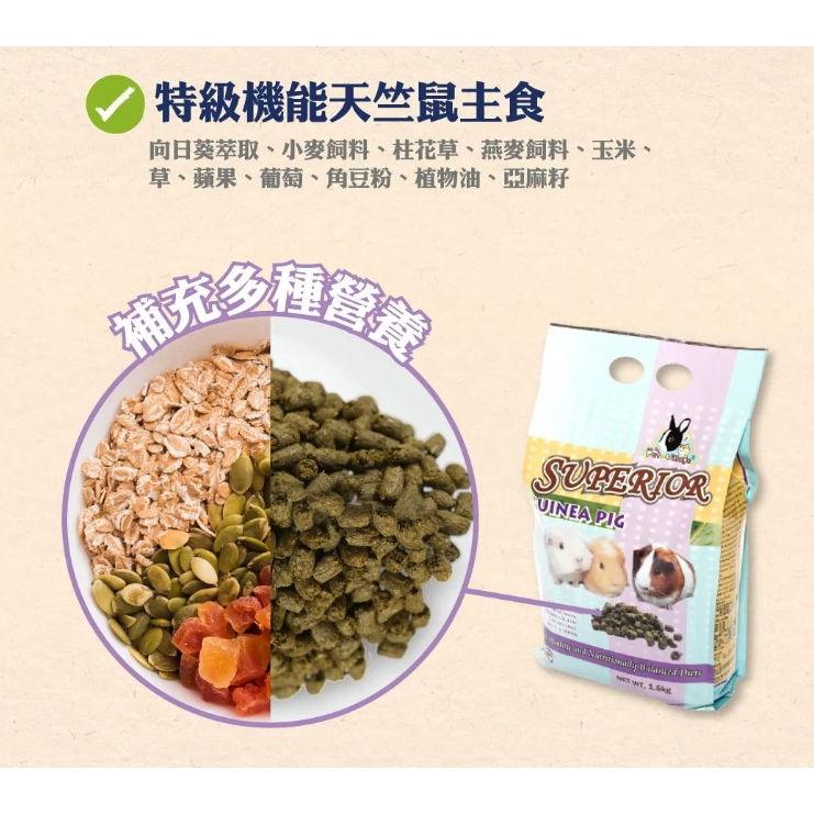 現貨秒出 | Pet Village 魔法村 | 特級機能主食|綜合均衡主食| 天竺鼠飼料 | 乾糧 | 翔帥寵物生活館-細節圖3