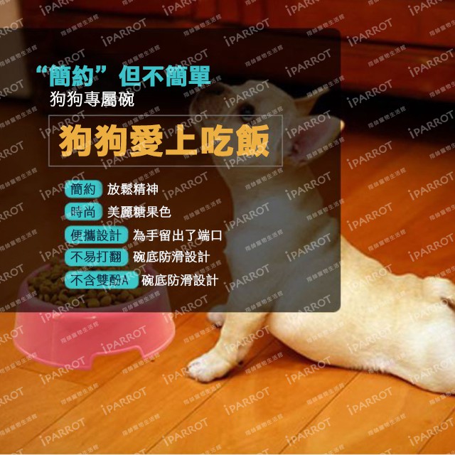台灣現貨 |糖果碗 | 糖果色狗碗 | 防滑 飼料 | 狗碗 | 貓碗 | 狗水盆 | 水碗 | 寵物碗食盆|翔帥寵物館-細節圖2