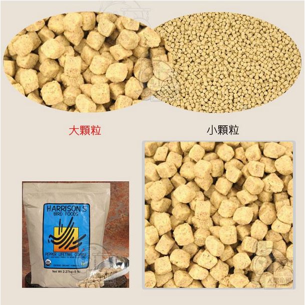 實體門市｜哈里森辣椒 (粗顆粒)｜原裝1磅｜原裝5磅｜美國哈里森紅辣椒滋養丸｜鸚鵡飼料｜鳥飼料｜翔帥寵物生活館-細節圖4