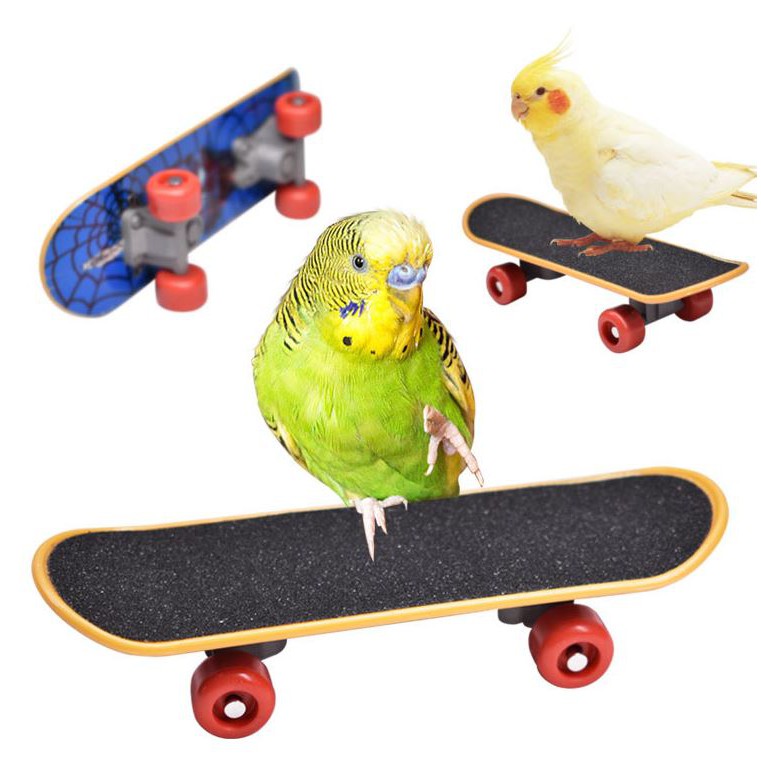 台灣現貨 | 鸚鵡玩具 | 鸚鵡益智玩具 | 鸚鵡滑板車 | 鳥玩具 | 鸚鵡用品 | 翔帥寵物生活館-細節圖2