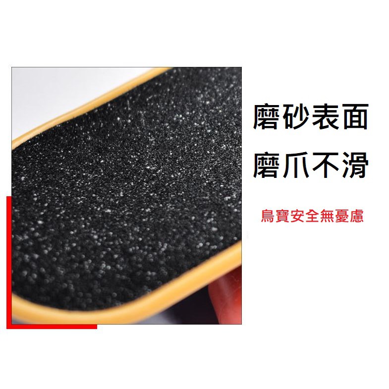 台灣現貨 | 鸚鵡玩具 | 鸚鵡益智玩具 | 鸚鵡滑板車 | 鳥玩具 | 鸚鵡用品 | 翔帥寵物生活館-細節圖5