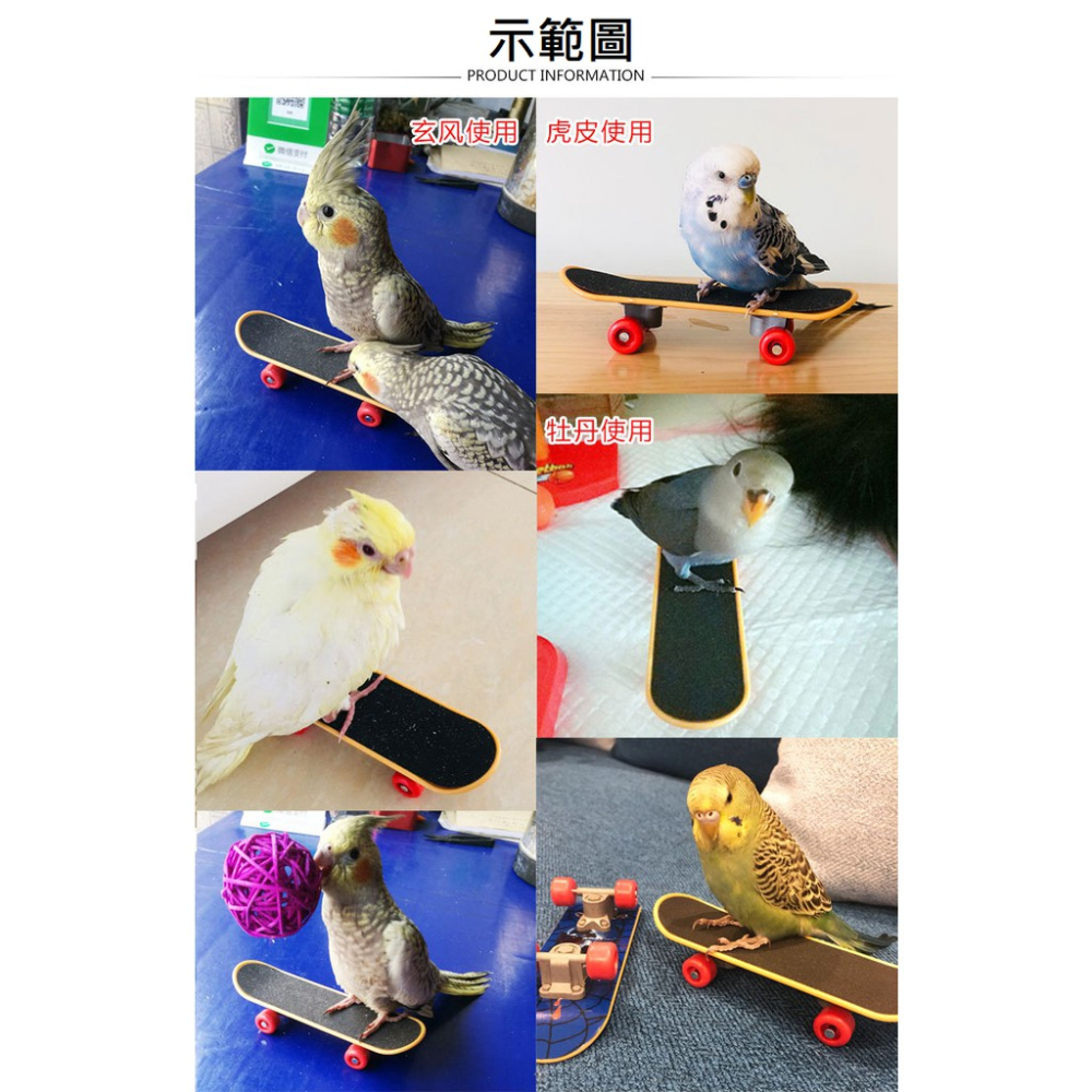 台灣現貨 | 鸚鵡玩具 | 鸚鵡益智玩具 | 鸚鵡滑板車 | 鳥玩具 | 鸚鵡用品 | 翔帥寵物生活館-細節圖6