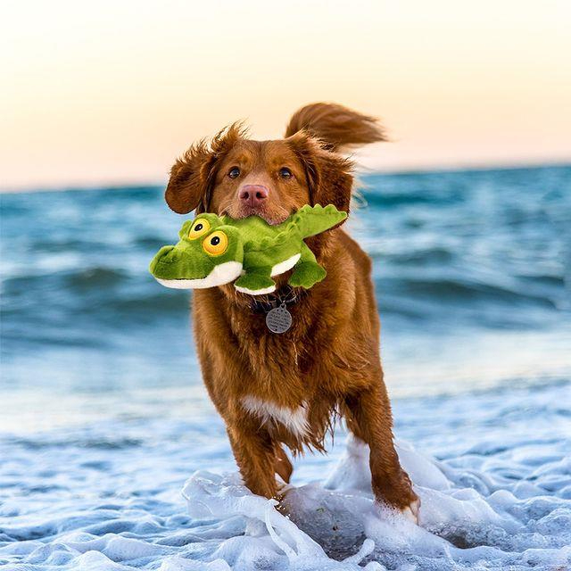 現貨秒出|美國 AFP | 超音波系列 |不吵鬧|柔軟|愛不釋手| 狗玩具 | 狗 | 犬玩具 | 翔帥寵物生活館-細節圖2