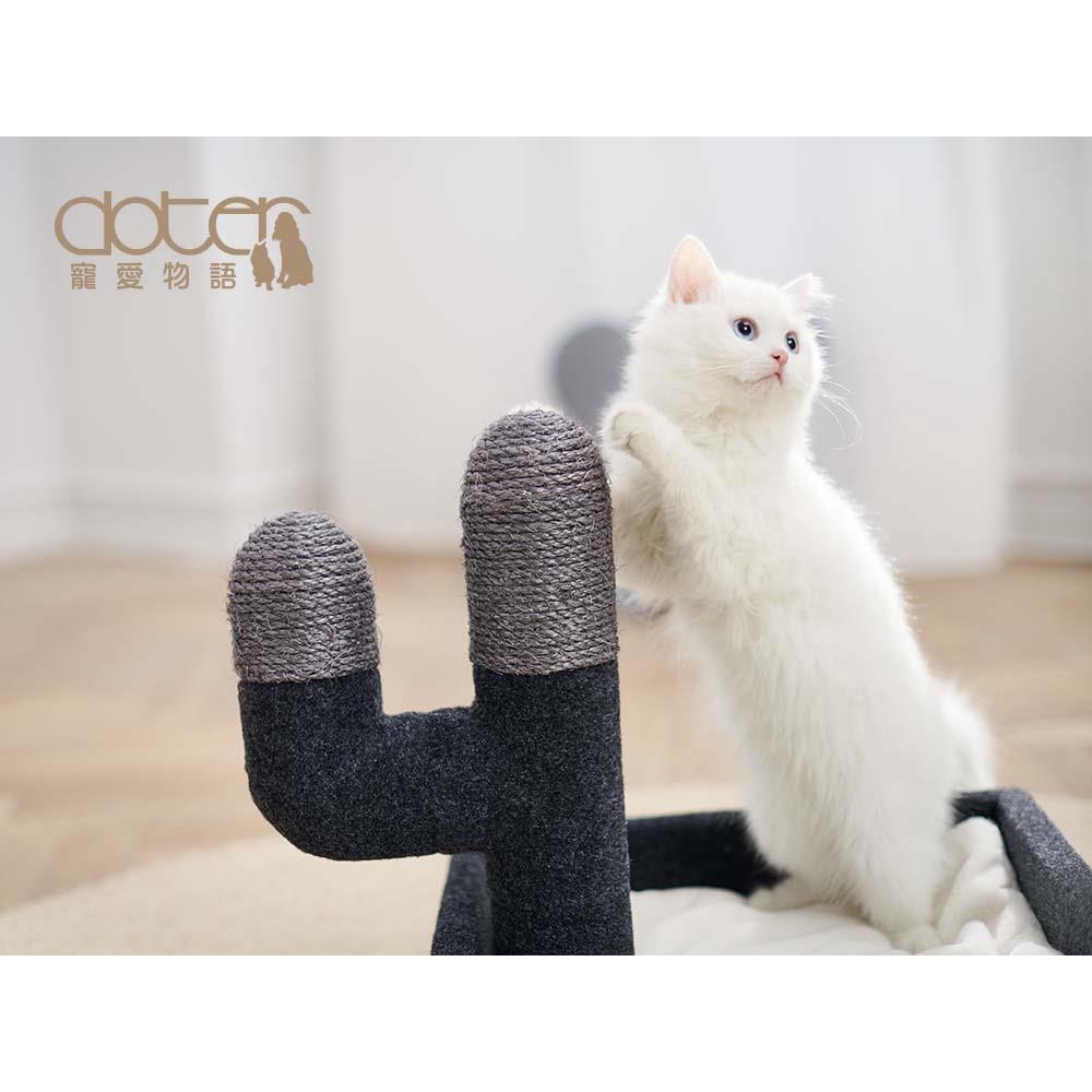 實體門市｜Doter 寵愛物語｜仙人掌抓柱睡床｜CT76｜貓跳台｜貓柱｜跳台｜貓抓柱｜貓睡窩｜翔帥寵物生活館-細節圖2