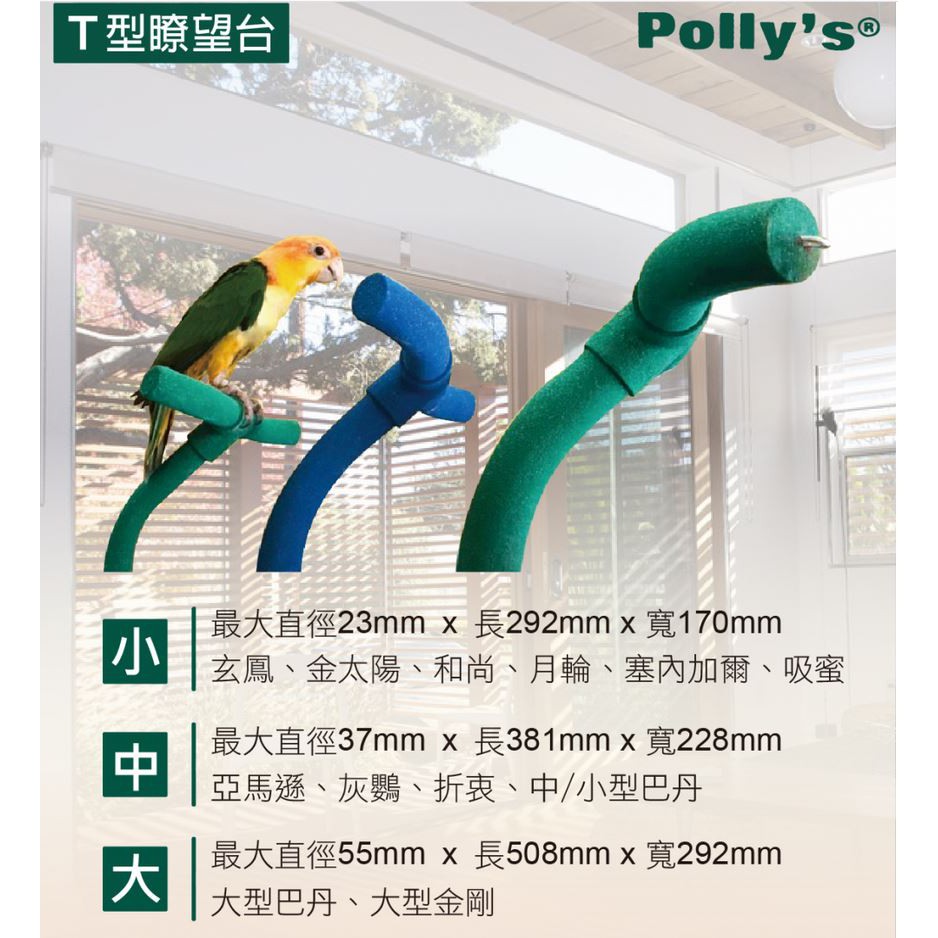 實體門市｜T型瞭望台｜鸚鵡站台｜鸚鵡棲木｜鸚鵡用品｜磨趾棍｜磨爪棍｜帕麗Polly＇s棲木｜翔帥寵物生活館-細節圖3