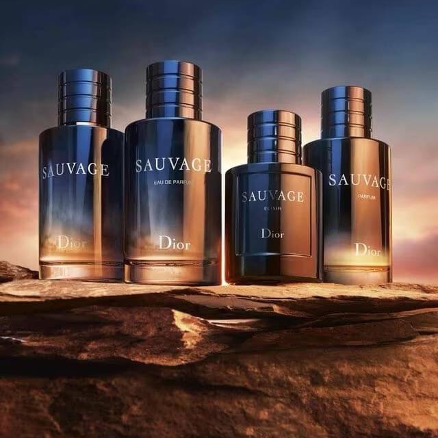 🇫🇷DIOR 迪奧SAUVAGE 曠野之心Parfum淬鍊之心香精清新柑橘木質調60ml