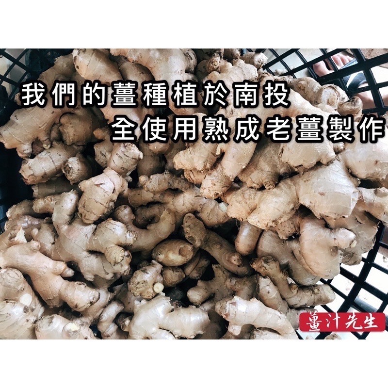 南投烘焙老薑片 薑片 乾薑片 老薑片 薑汁先生-細節圖2