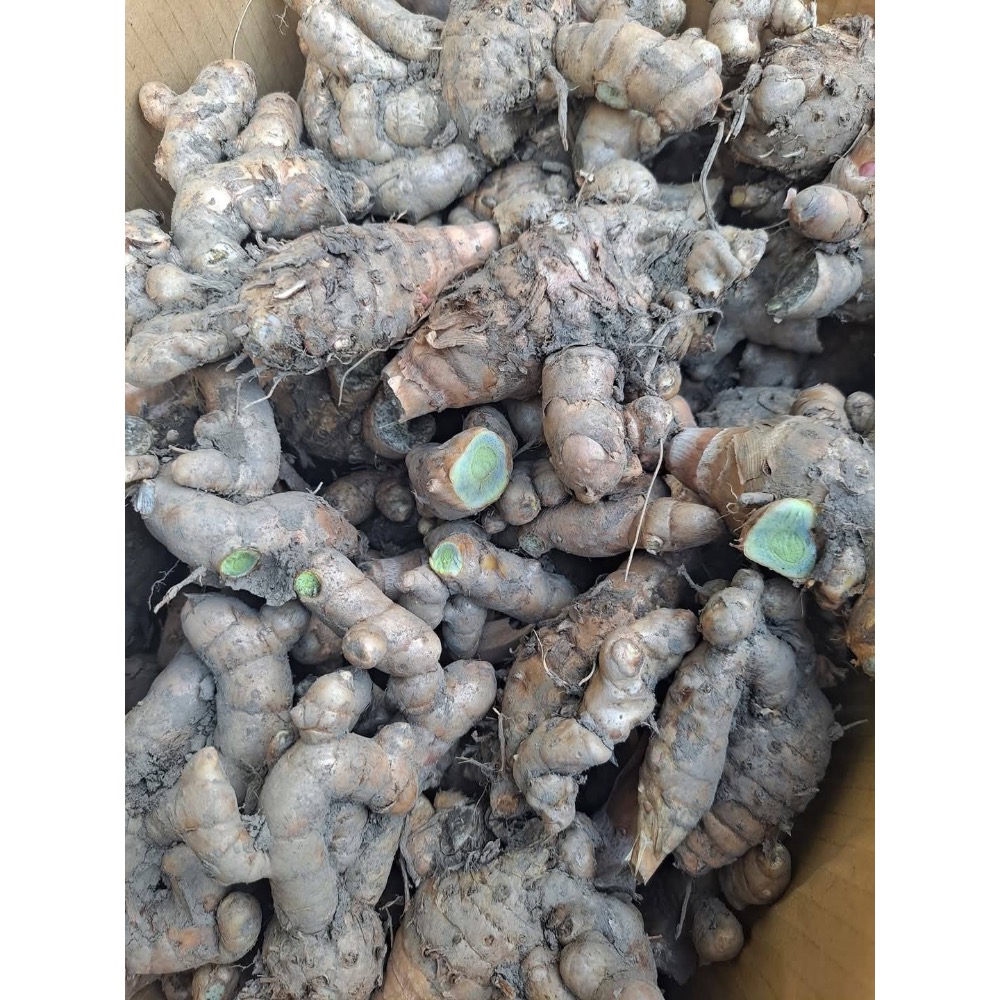 薑黃五合一綜合薑黃膠囊 「紅/秋/紫/春/白薑黃」 植物性膠囊素食可/SGS檢驗合格/已投保食品責任險-細節圖3