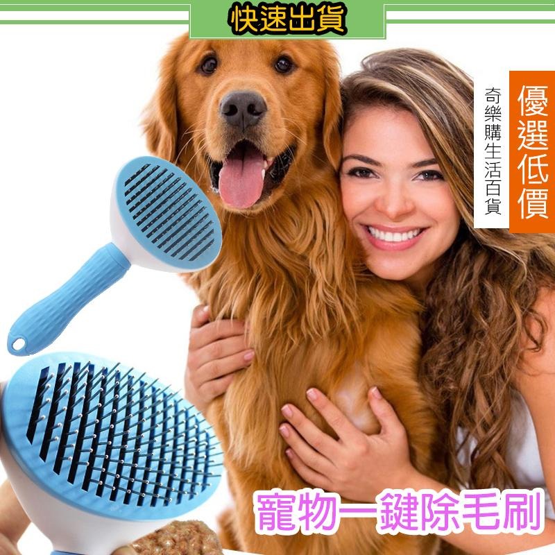 一鍵清潔寵物梳毛刷 寵物梳 貓梳子 梳毛刷貓咪 寵物梳子 狗狗梳毛 梳毛 刷毛器(D003)-細節圖3