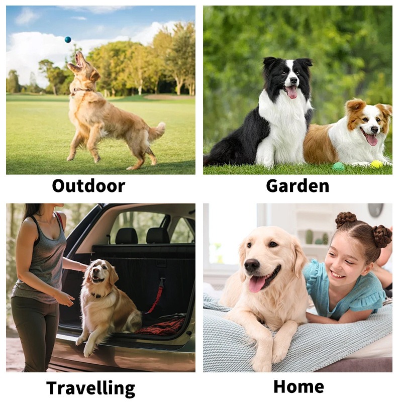 (當日出貨)寵物免洗手套 寵物濕紙巾 擦澡手套 手套濕巾 寵物擦澡濕巾 寵物清潔 貓狗清潔 寵物乾洗 洗澡 (D005)-細節圖9