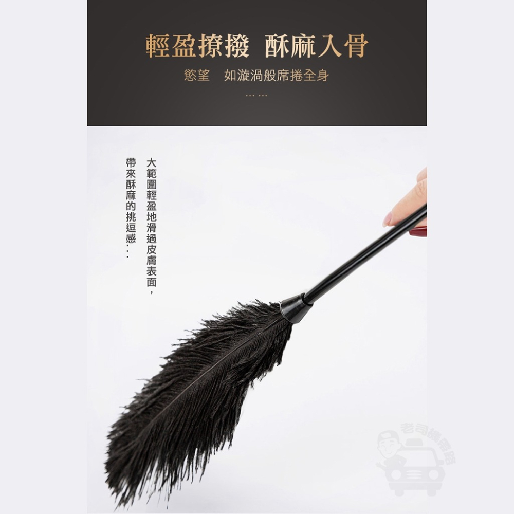 SM 駝鳥調情羽毛棒 情趣挑逗玩具 台灣出貨 SM 情趣精品 bdsm 情趣sm 情趣 調教用具 情趣用品 調情羽毛棒-細節圖3