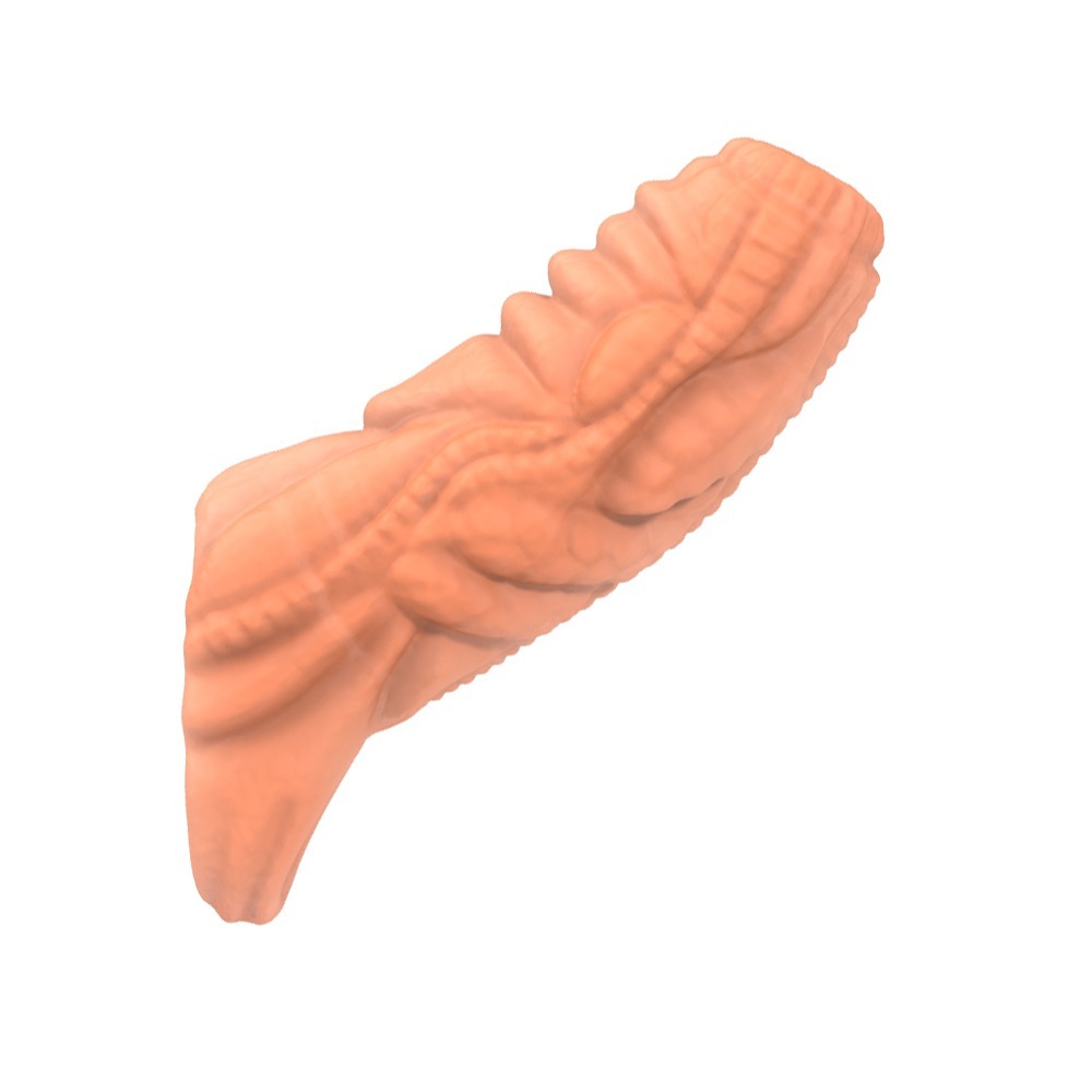 【台灣現貨】狼牙套 屌環 鎖精環 異形狼牙套 陰莖套 包皮阻復環 情趣用品 男用 持久環 鎖精 入珠環 加長套 加粗套-細節圖10