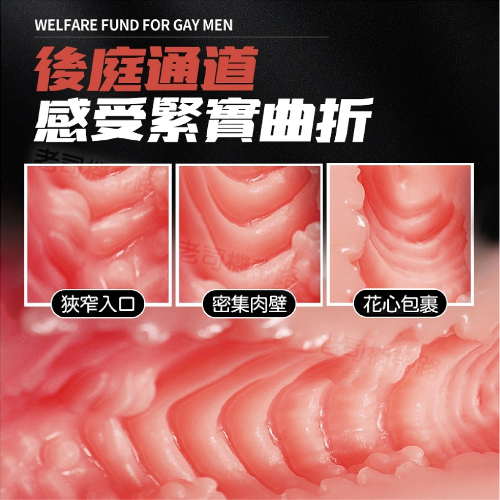 【台灣現貨】情趣用品 飛機杯 矽膠娃娃 健身美男 GAY 男同志 性愛娃娃 自慰套 倒模名器 肛交 自慰器男用 情趣娃娃-細節圖7