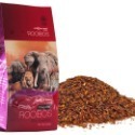 AFRICAN DAWN 非洲晨曦🌷南非國寶茶原味 芒果 草莓 柑橘  蘋果 黑醋栗-7788（雜七雜八）-規格圖1