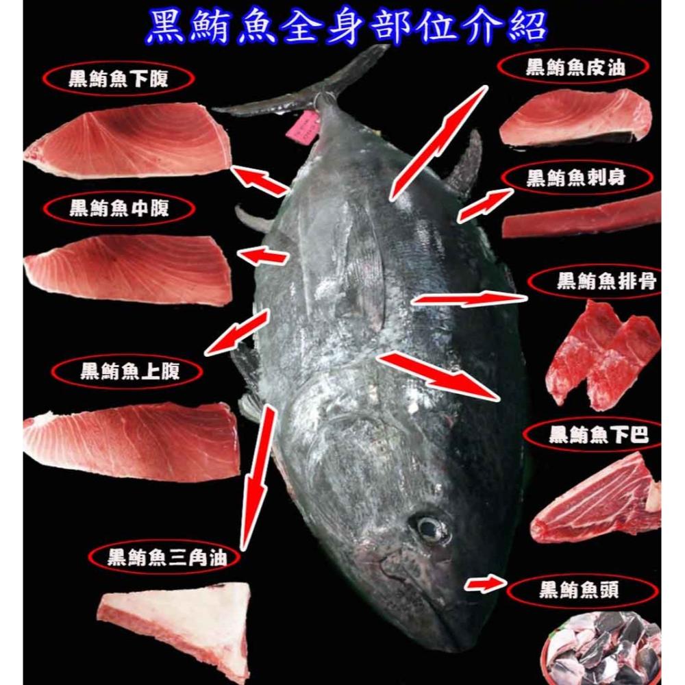 華得水產 東港黑鮪魚眼睛(900~1000g/粒)-細節圖8