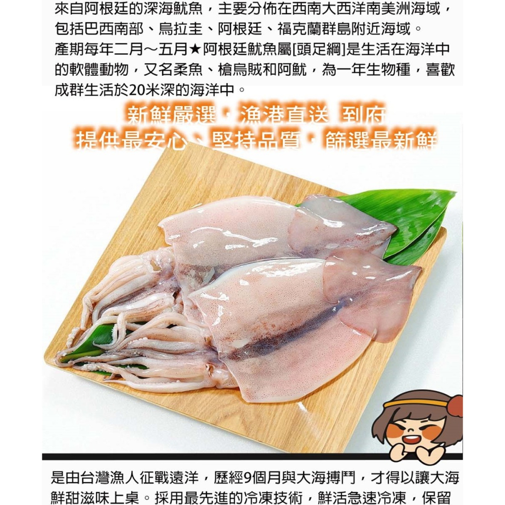 華得水產 阿根廷大魷魚(1包2入-約450-500g/包)平均一尾87元-細節圖3