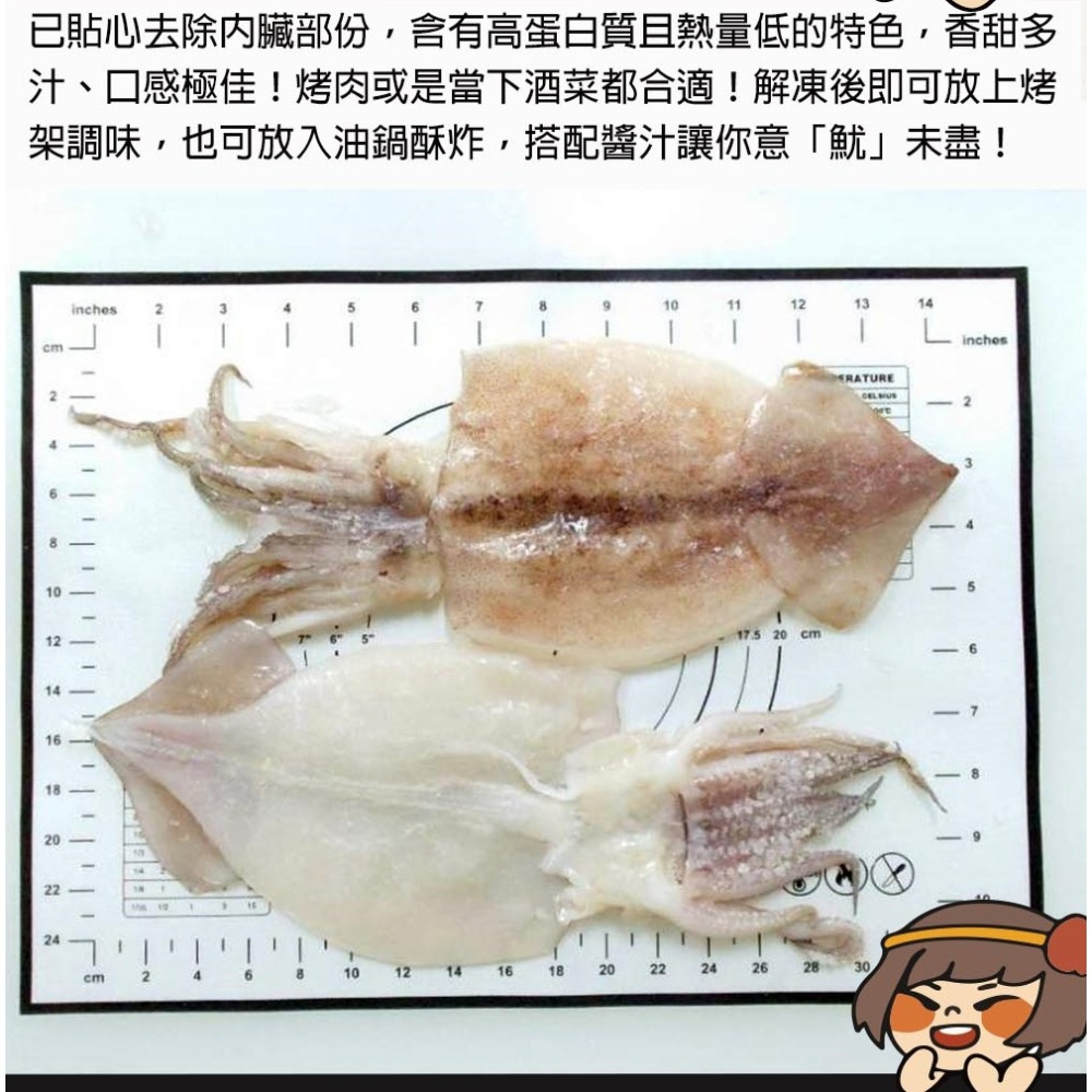 華得水產 阿根廷大魷魚(1包2入-約450-500g/包)平均一尾87元-細節圖6