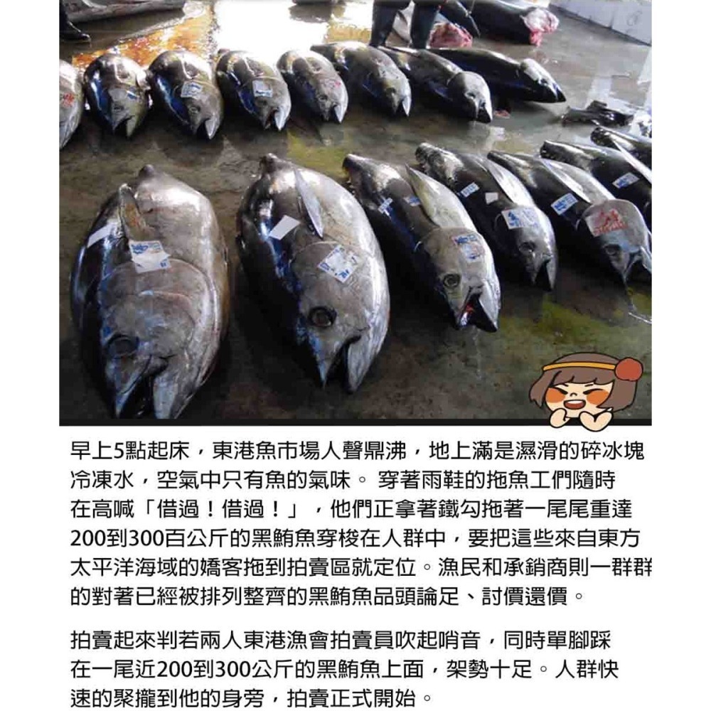 【華得水產】東港黑鮪魚三角 上腹 中腹 下腹(550-600g/生食級)-歡迎直播組合作 (保存期限7天)-細節圖6