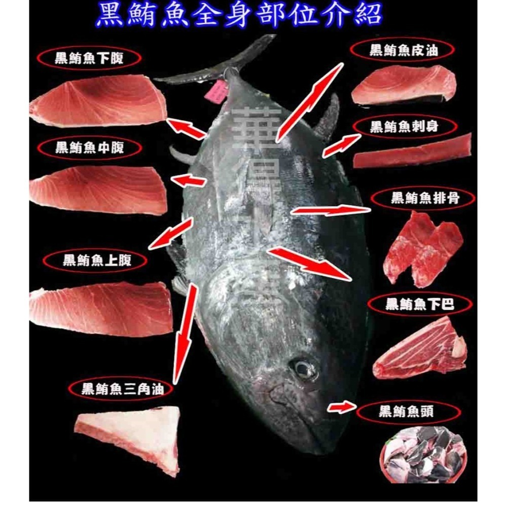 【華得水產】東港黑鮪魚三角 上腹 中腹 下腹(550-600g/生食級)-歡迎直播組合作 (保存期限7天)-細節圖9