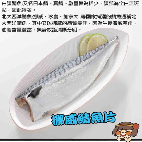 【華得水產】挪威鯖魚片(130-150g/片/無紙板)
