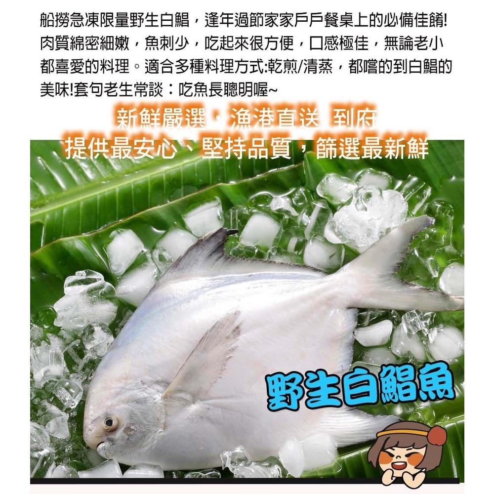 華得水產 鮮嫩野生白鯧魚1尾(400-480G/尾)-細節圖3