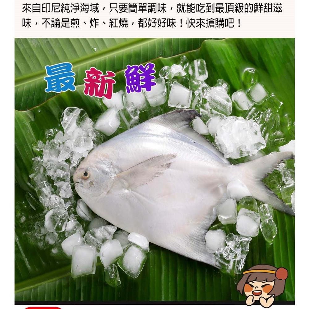 華得水產 鮮嫩野生白鯧魚1尾(400-480G/尾)-細節圖4