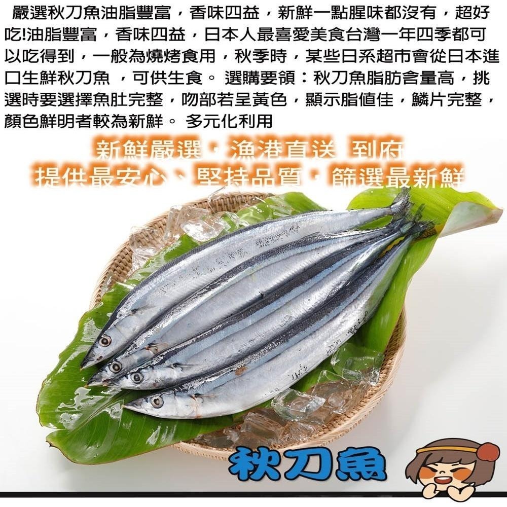 【華得水產】野生秋刀魚(280-500g約3-4尾/包)-細節圖3