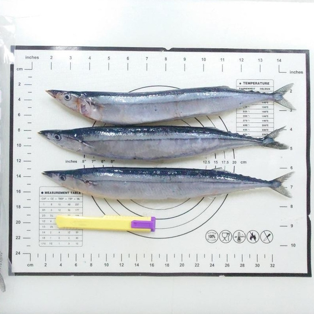 【華得水產】野生秋刀魚(280-500g約3-4尾/包)-規格圖4