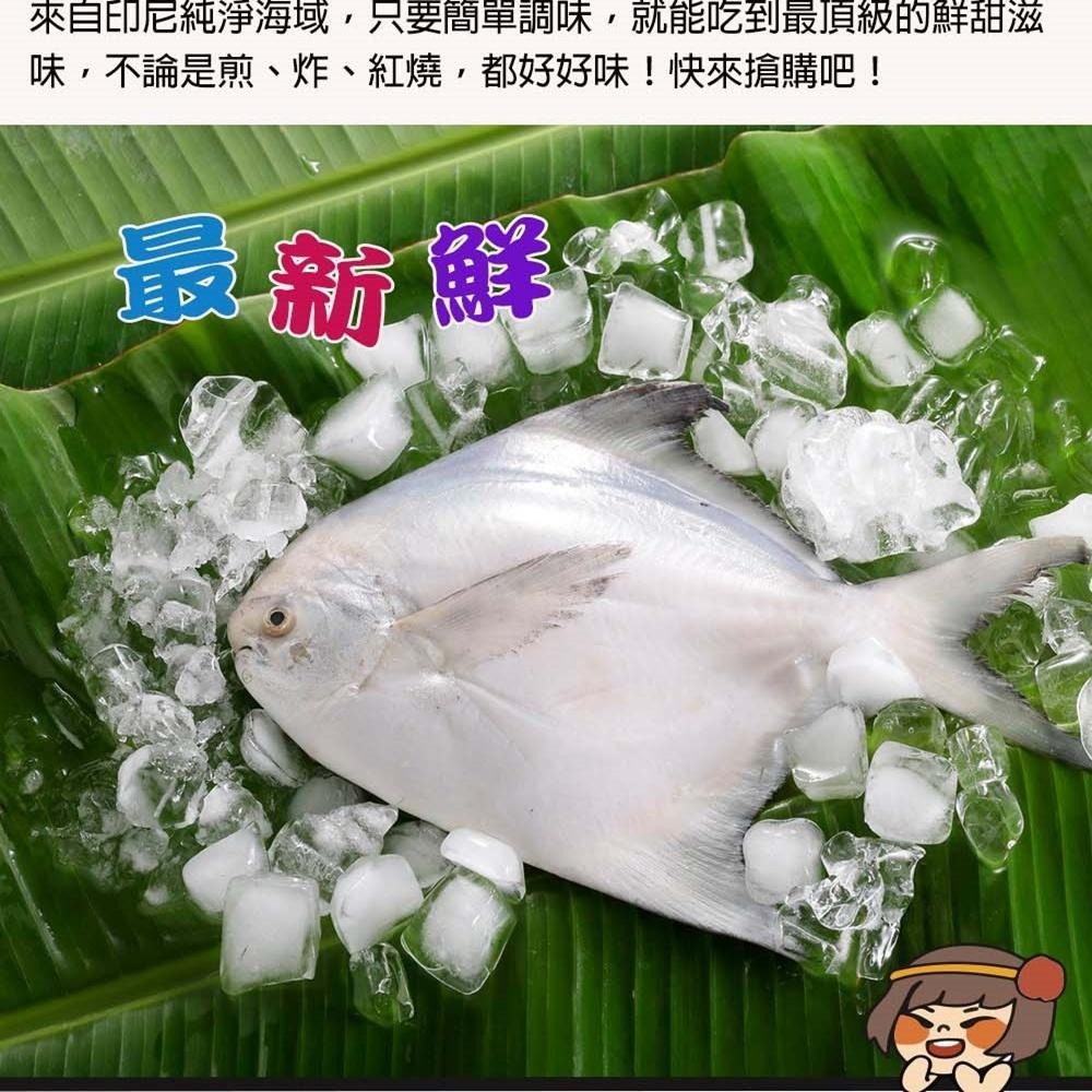 華得水產 鮮嫩野生白鯧魚3尾組(330-380G/尾)-細節圖2