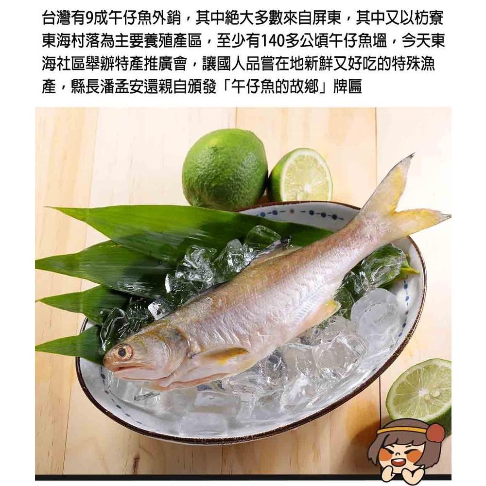 華得水產 新鮮午仔魚(150-200G/尾)-細節圖2