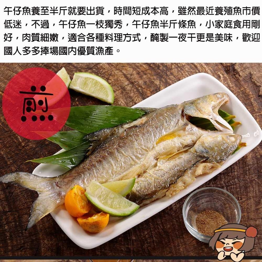 華得水產 新鮮午仔魚(150-200G/尾)-細節圖4
