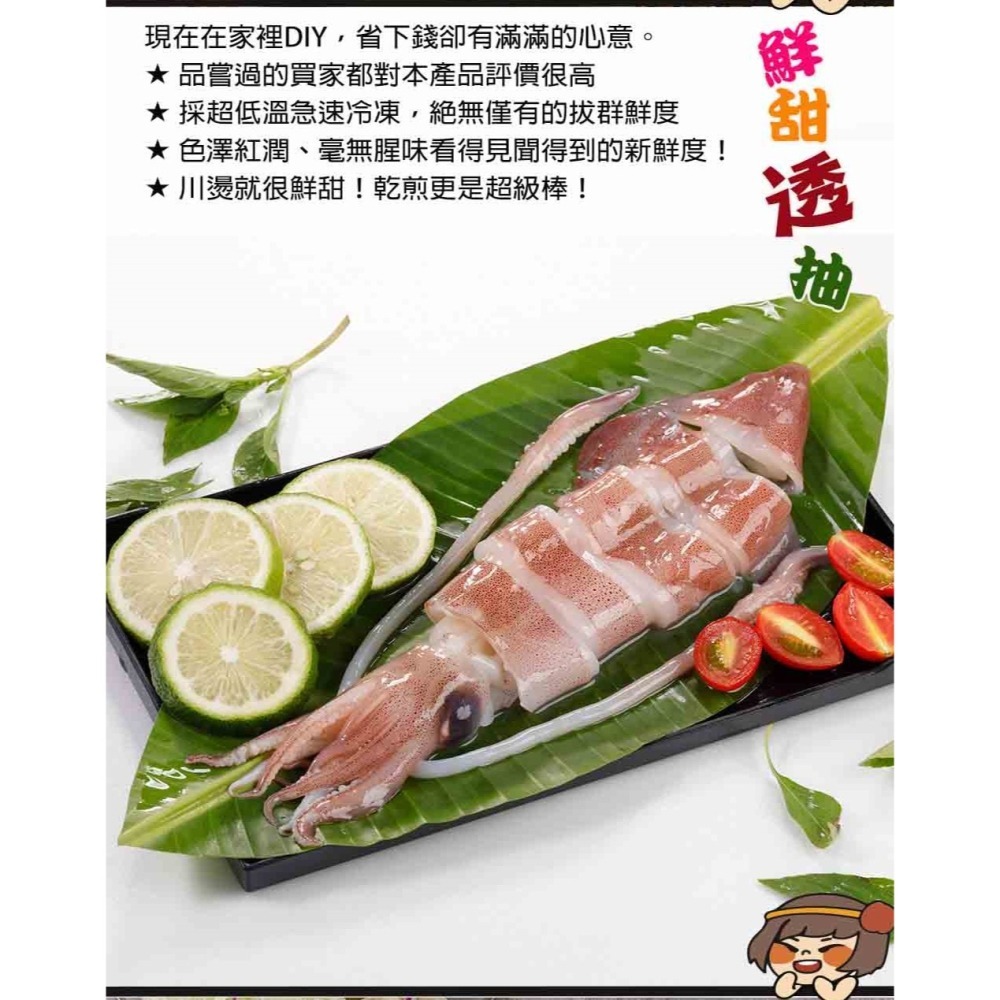 華得水產 台灣船凍透抽-細節圖3