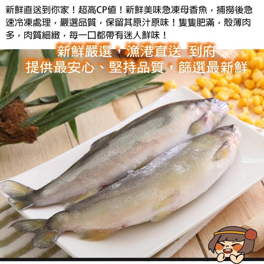 華得水產 特選超爆卵母無毒香魚盒共(2-5尾/500g/包)-細節圖4