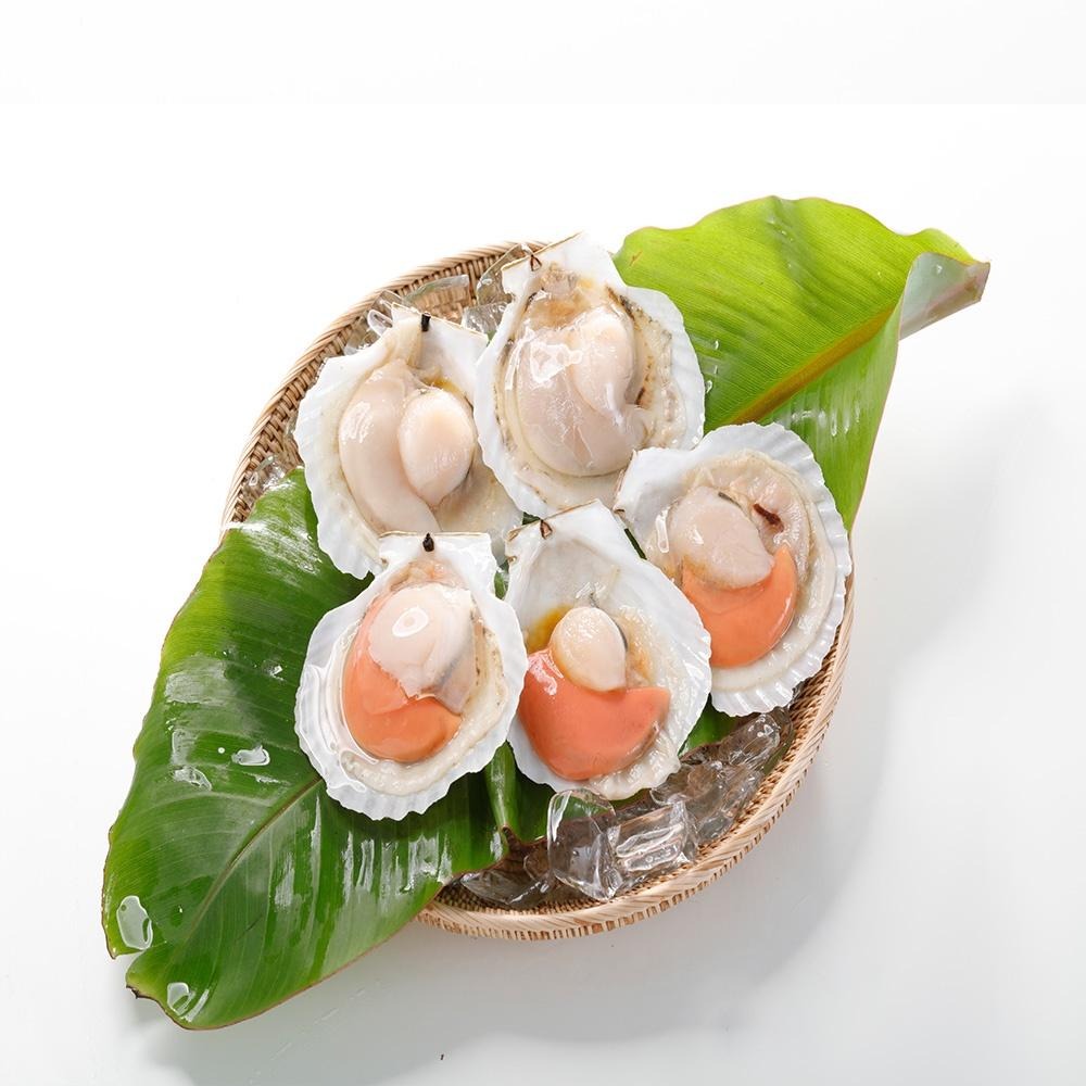 華得水產 生凍頂級半殼扇貝(500g/份)-細節圖2