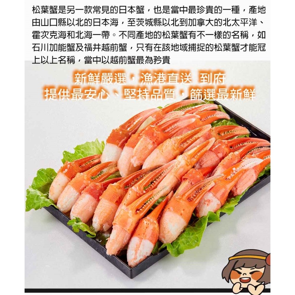 【華得水產】日本原裝進口熟凍松葉蟹鉗(200g/盒))-細節圖4