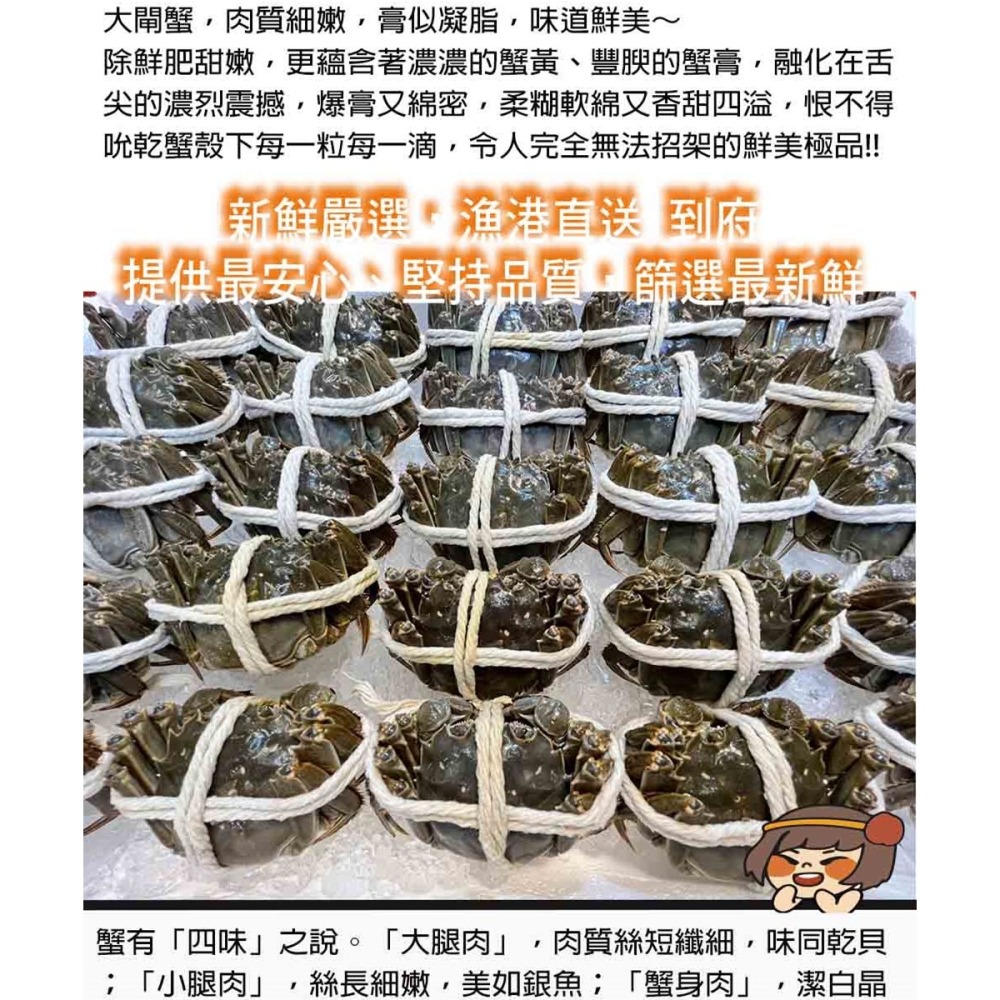 單獨下單 不可以合併*冷藏【華得水產】活蟹直送 江蘇大閘蟹(2隻_6-6.5兩/隻)-細節圖2