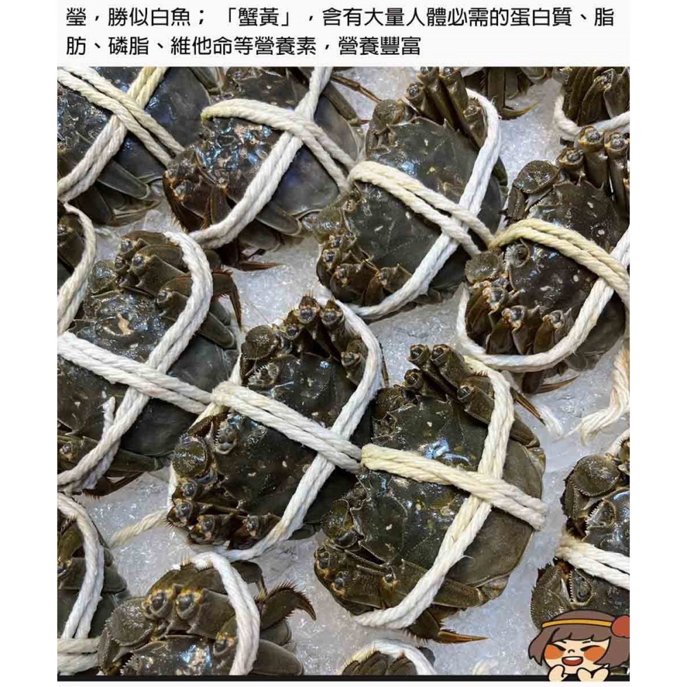 單獨下單 不可以合併*冷藏【華得水產】活蟹直送 江蘇大閘蟹(2隻_6-6.5兩/隻)-細節圖3