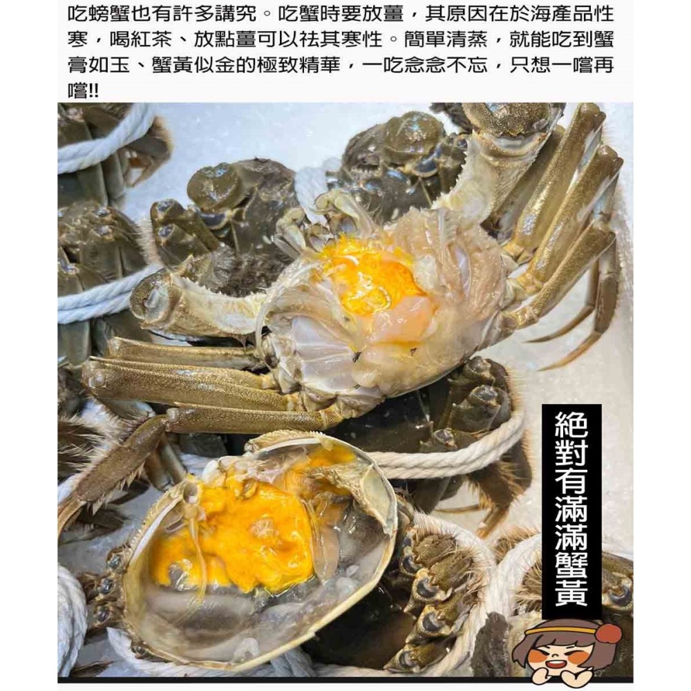 單獨下單 不可以合併*冷藏【華得水產】活蟹直送 江蘇大閘蟹(2隻_6-6.5兩/隻)-細節圖4